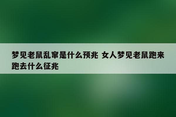 已婚女人梦见老鼠乱窜预示着什么