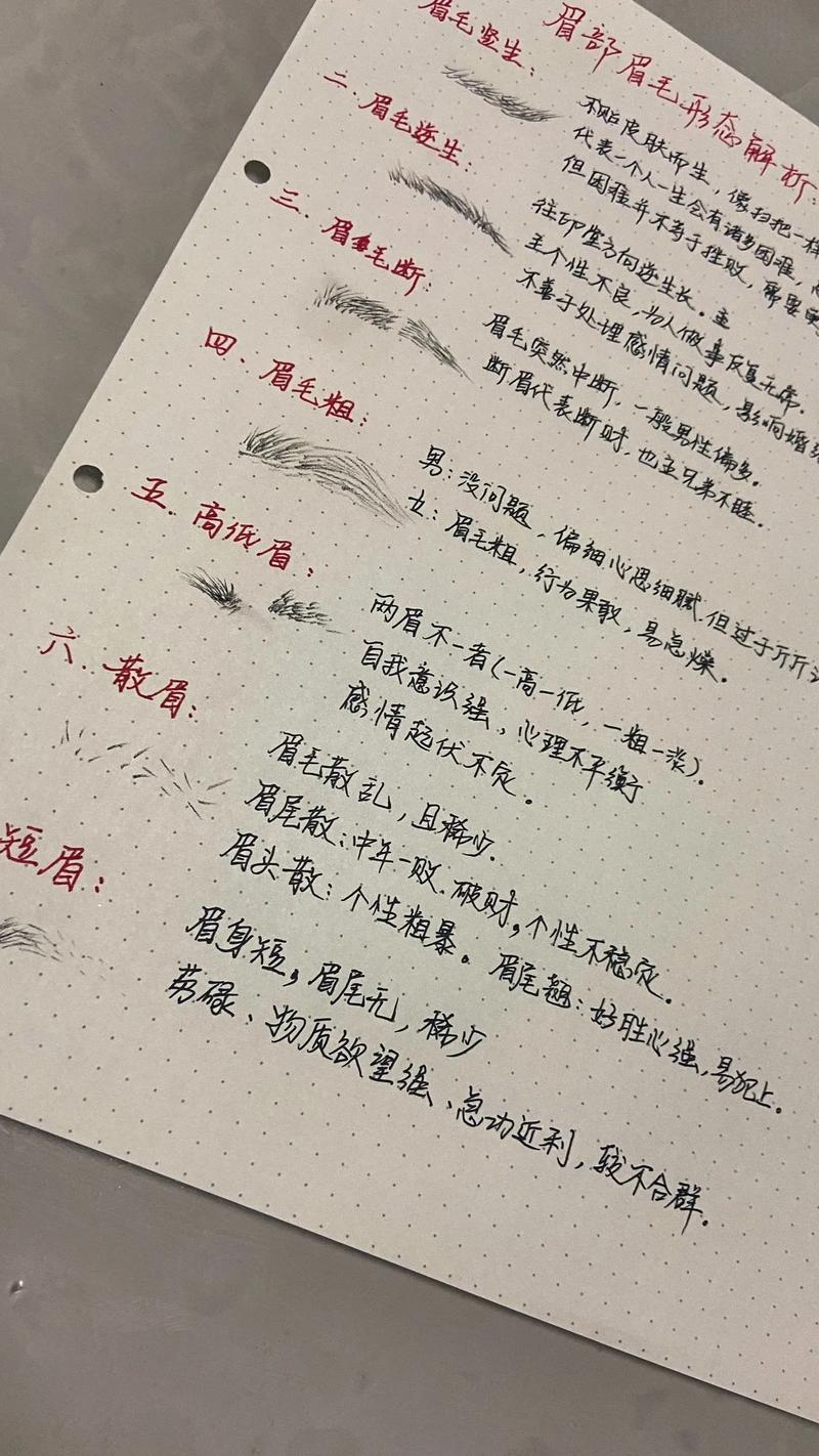 眉相图解有几种