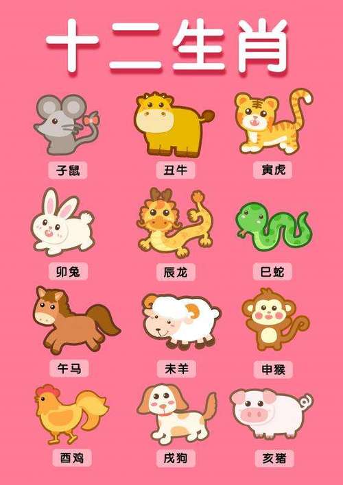 生肖鸡和生肖狗的配对数