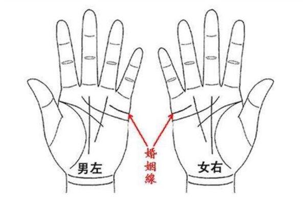 独身主义手相!男人婚姻线长代表什么?