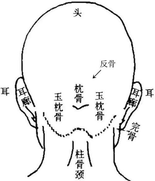 真正的反骨在哪里