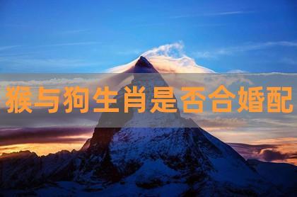 94年属狗和92年属猴的相配吗