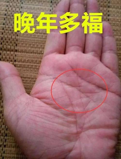 长寿手相有哪些特点,手相红润有光泽是长寿之人