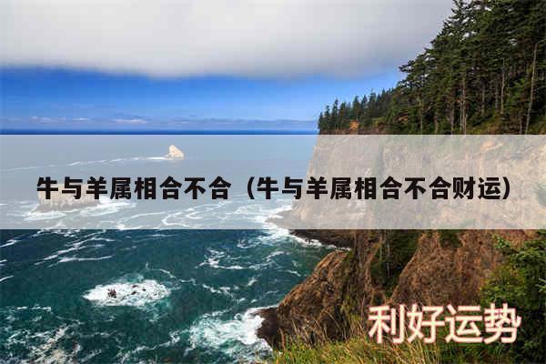 生肖羊和牛生肖合不合