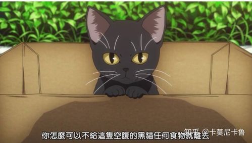 奇葩的搞怪的宠物名字二次元