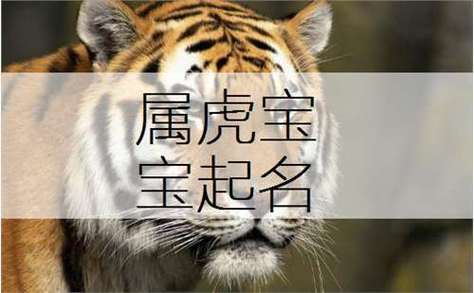 1986年属虎开店起名字