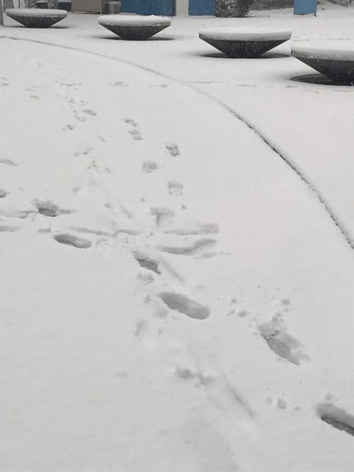 梦到下了好大的雪