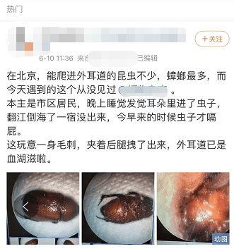 梦见耳朵里长虫是什么意思