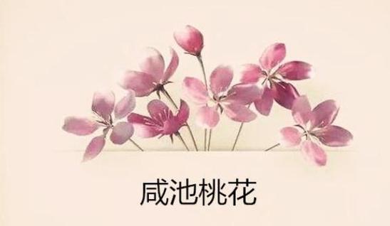 命带桃花好不好