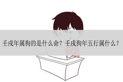 壬戌狗是什么意思
