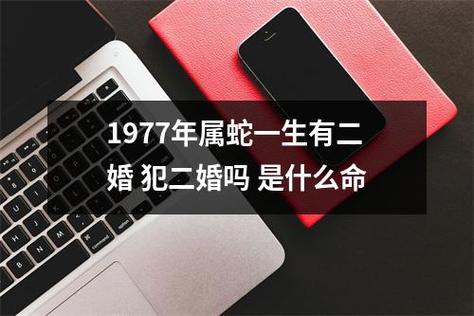 为什么属蛇的有二婚命