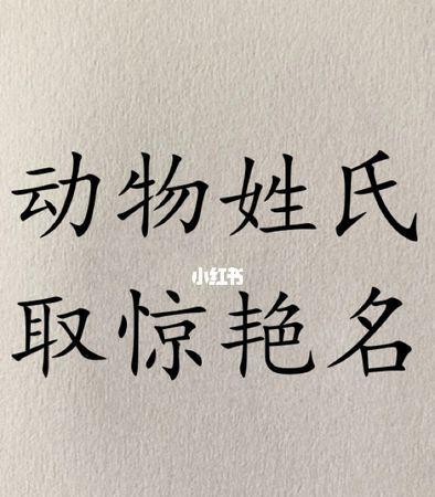 超级可爱好听的动物名字