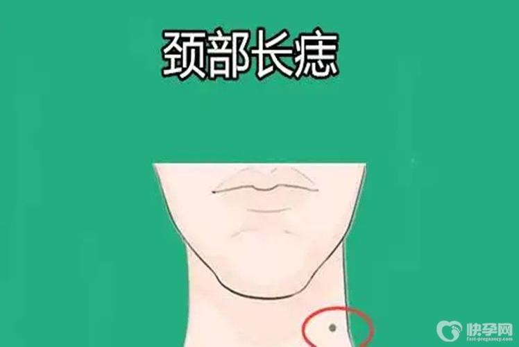 脖子看富贵 什么样的脖子是富贵相