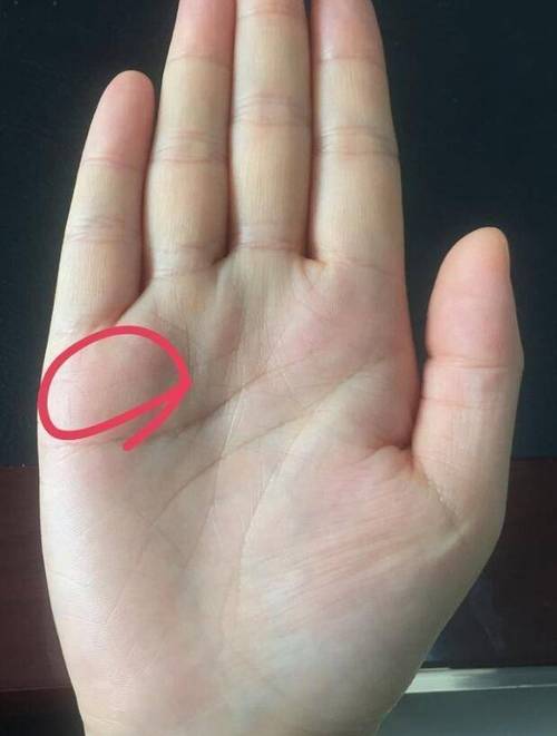 无命运线手相好不好