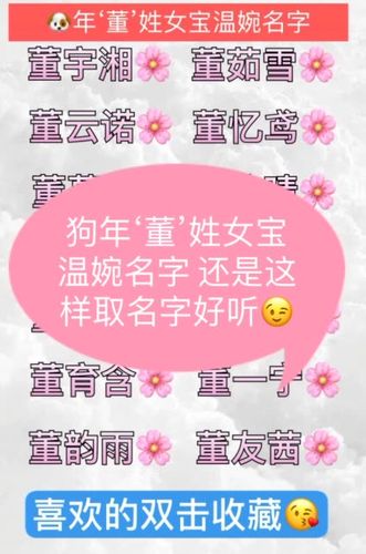 姓董有什么好听的名字