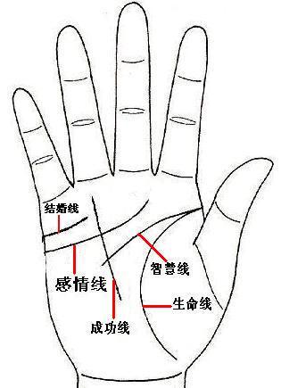 星座生肖面相手相可信吗
