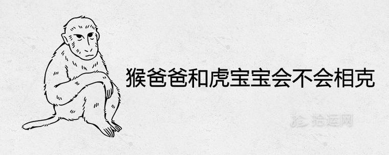 猴爸爸和虎宝宝会不会相克