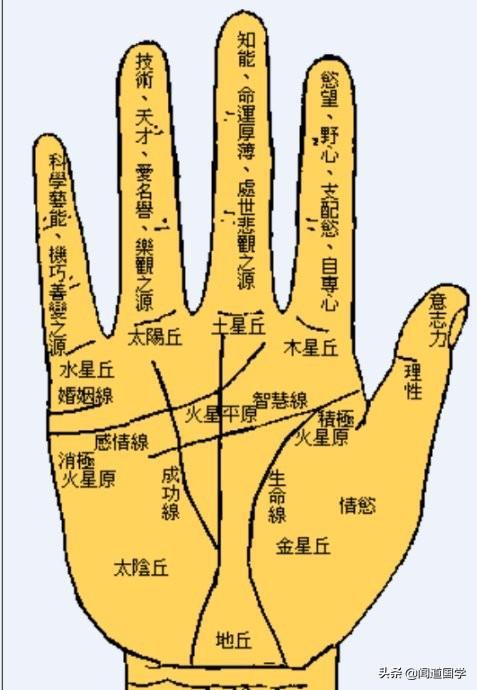 教你学会看手相