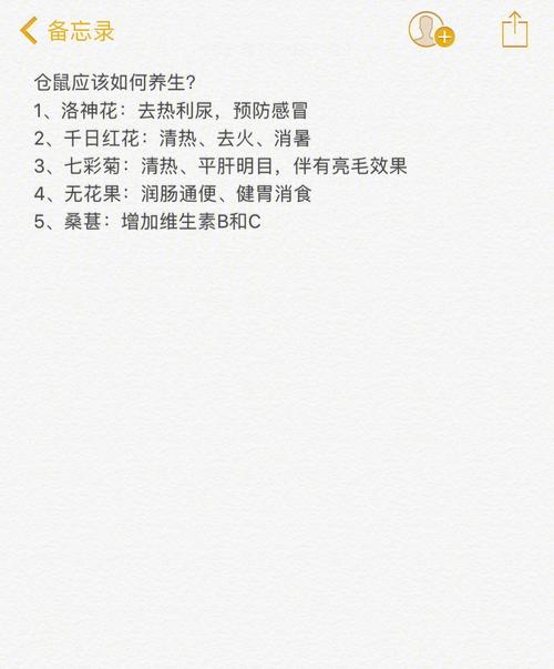 养生秘方-鼠
