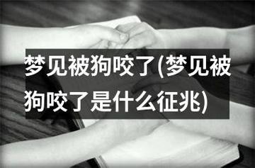 梦见我的朋友让狗咬了