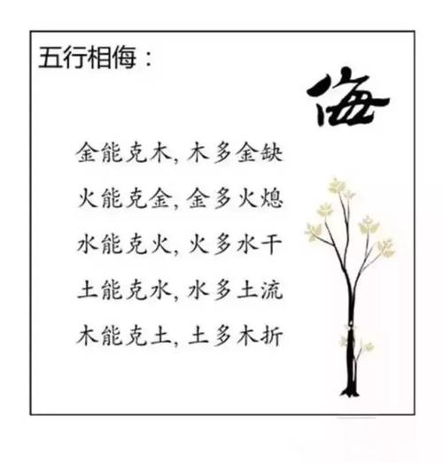 八字缺金缺木怎么补救化解