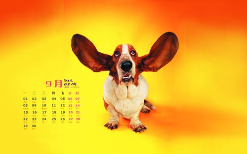 戴添雄十二生肖每日运势2014年5月8日