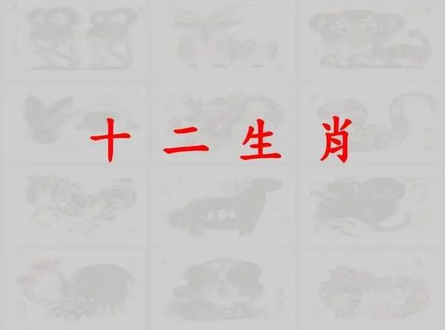 最聪明的生肖是哪一个