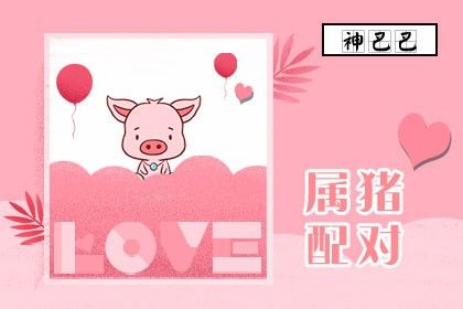 属猪女最爱买什么东西送另一半