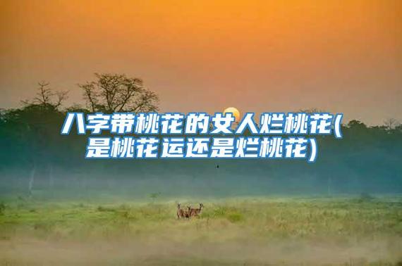 2021年什么八字的人会有烂桃花