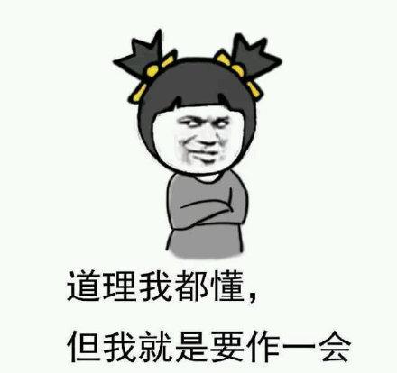 道理我都懂但我就是要作的生肖