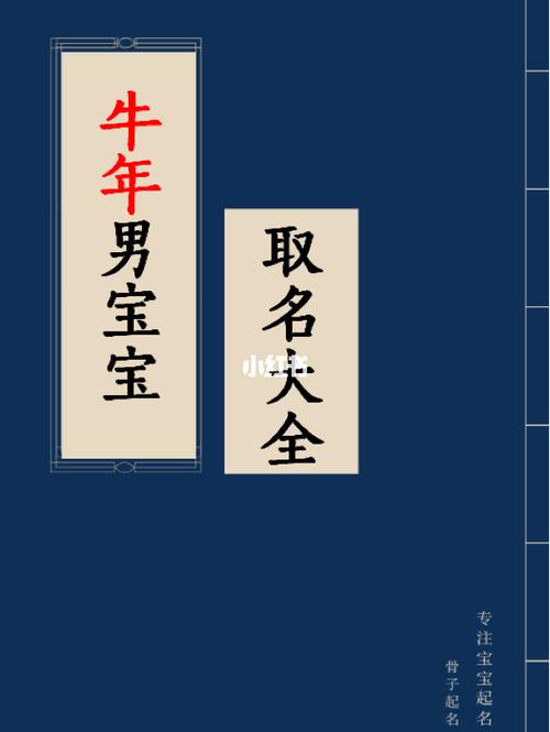 降生于2021年1月15日的男婴怎么起名