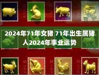 71年属猪人车牌号及车身颜色选择指导