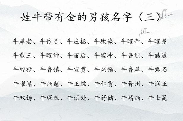 姓牛独特洋气男孩名字
