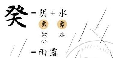 葵水命适合的工作有哪些