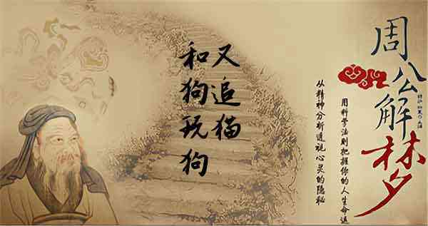 梦见猫追赶狗是什么意思