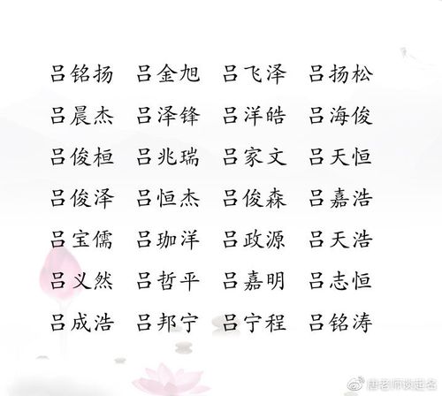 独特好听的吕姓男宝宝名字大全
