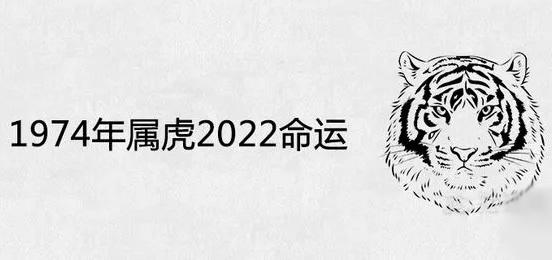 属虎人一生必遭劫难