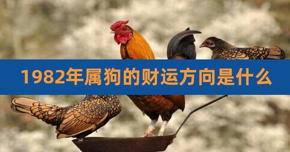 2018年属狗人的全年运势如何?