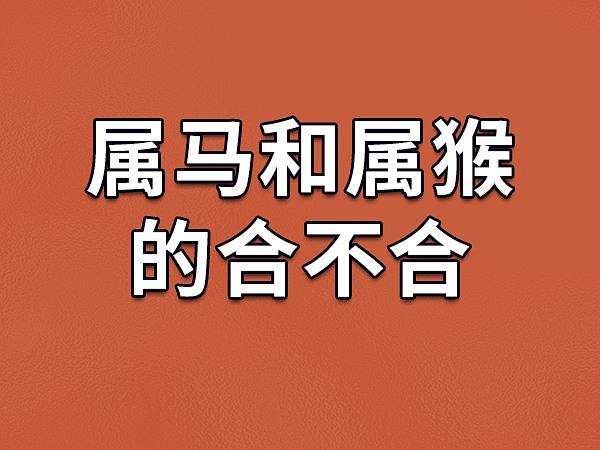 属马的和属猴的结婚合适吗