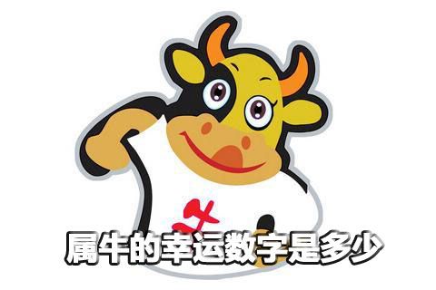 属牛人永久吉利的数字