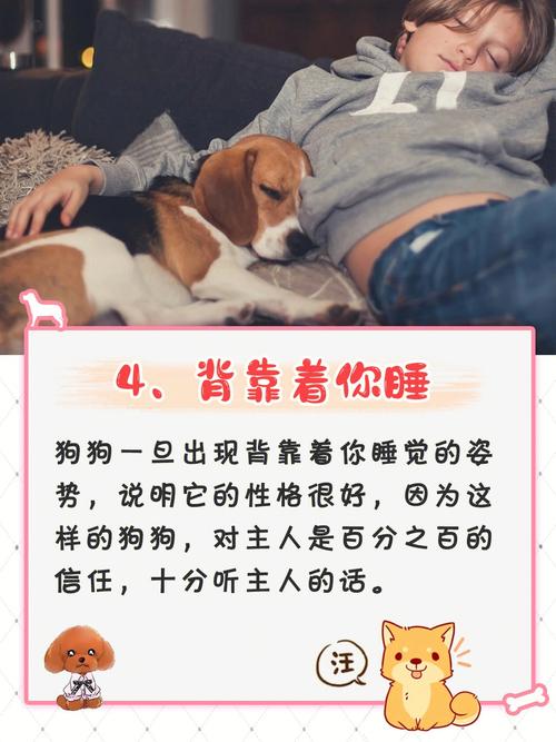 谈“狗”说性格