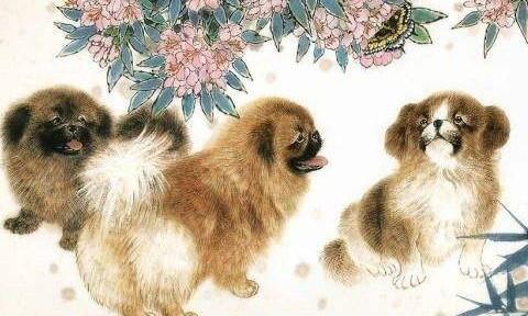属狗女为什么认为身边的男人都喜欢自己