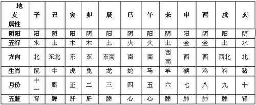 八字算命基础篇「图释地支关系」