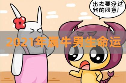 属牛男生动情的表现