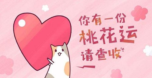 未来半月,桃花报喜,前缘来到,不负相遇,白头可期的4大星座