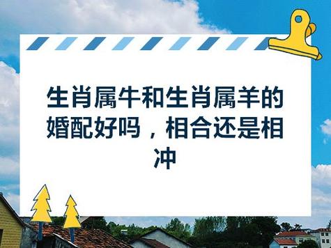 我妈属牛我属羊不相合,牛羊相冲什么化解