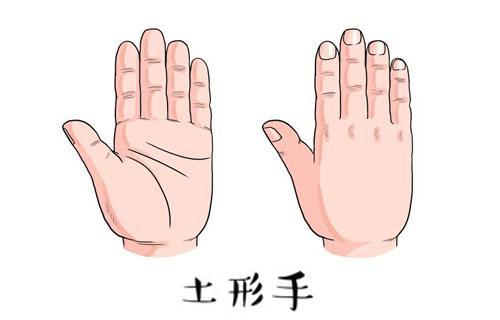 谈谈水形手人的命运