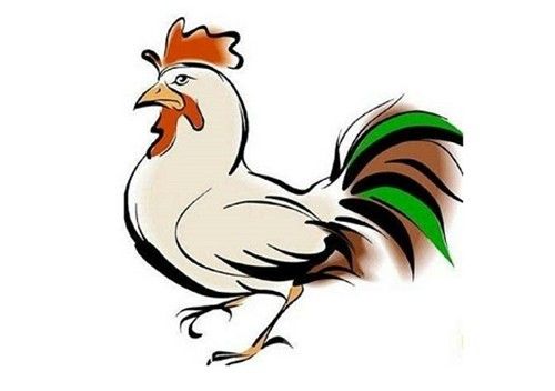 属鸡男因何事和女票陷入冷战