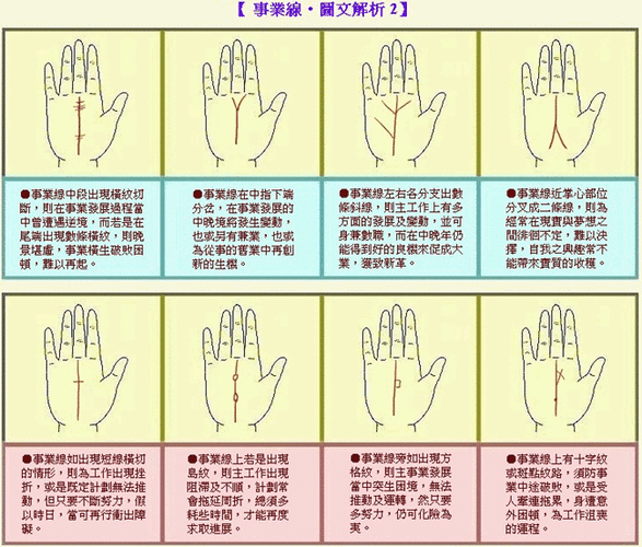 面相手相算命图解大全
