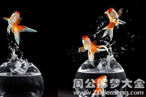 梦见很多鱼跳跃